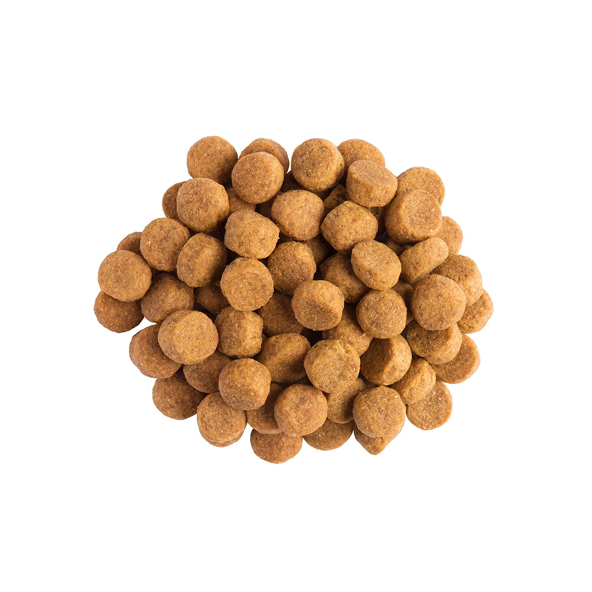 Purina PRO PLAN JM Joint Mobility Hund 3 Purina PRO PLAN JM Joint Mobility Hund – Bild 3