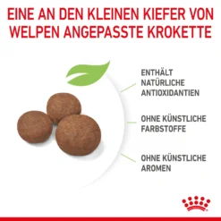 Royal Canin Medium Puppy Trockenfutter Hund 10 Royal Canin Medium Puppy Trockenfutter Hund -Bell Oliebe Verkäufe 3182550402132 2905 5