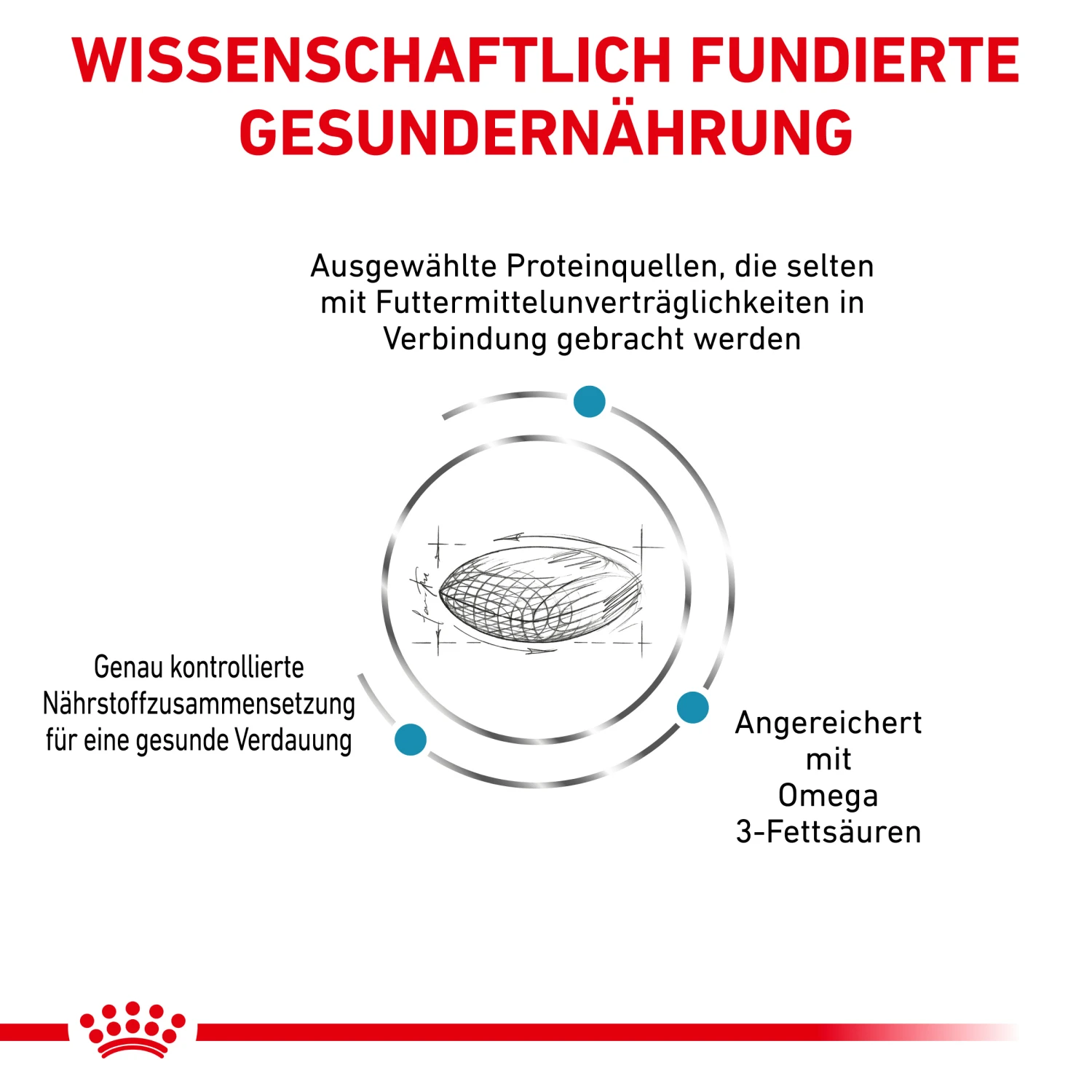 Royal Canin Sensitivity Control Trockenfutter Hund 2 Royal Canin Sensitivity Control Trockenfutter Hund – Bild 2