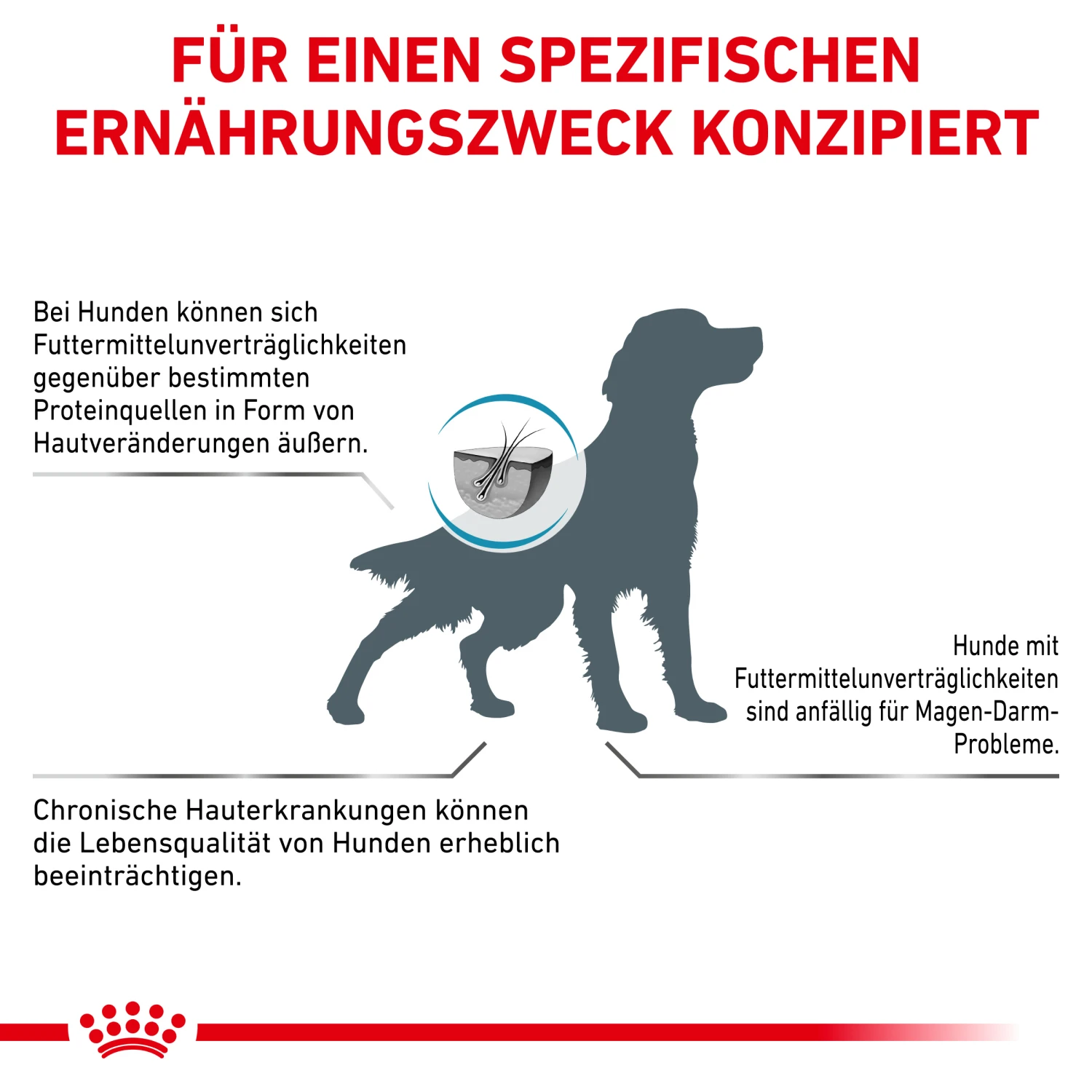 Royal Canin Sensitivity Control Trockenfutter Hund 7 Royal Canin Sensitivity Control Trockenfutter Hund – Bild 7