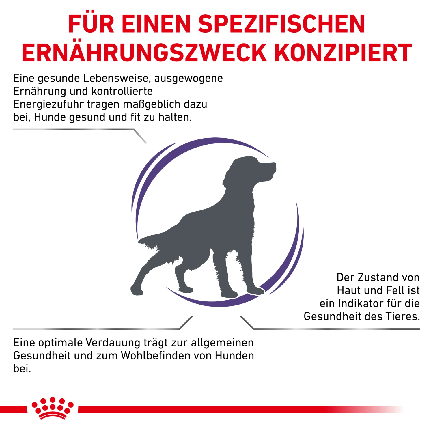 Royal Canin Expert Adult Medium Dogs Trockenfutter Hund 2 Royal Canin Expert Adult Medium Dogs Trockenfutter Hund – Bild 2