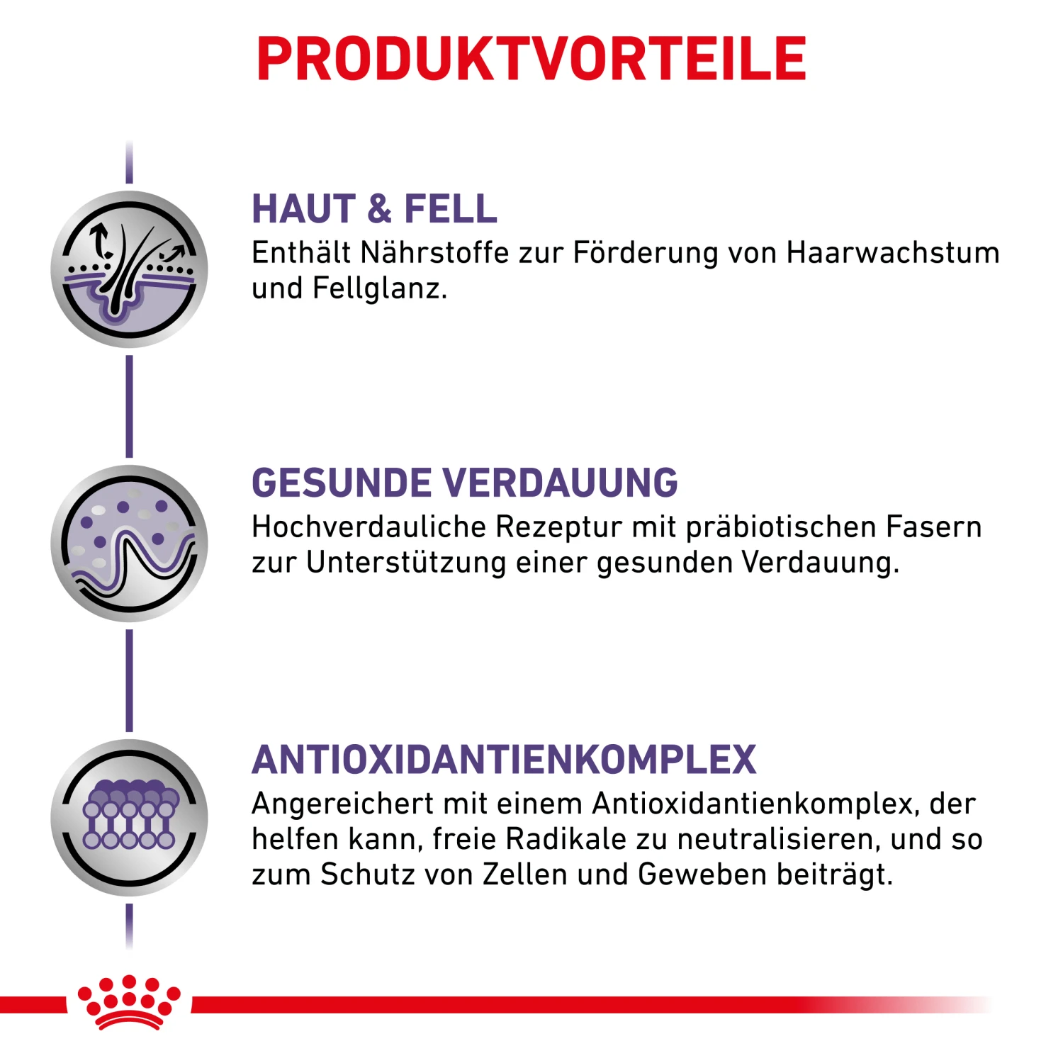 Royal Canin Expert Adult Medium Dogs Trockenfutter Hund 4 Royal Canin Expert Adult Medium Dogs Trockenfutter Hund – Bild 4