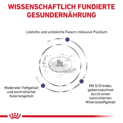 Royal Canin Neutered Adult Small Dogs Trockenfutter Hund -Bell Oliebe Verkäufe 3182550761970 6628 4