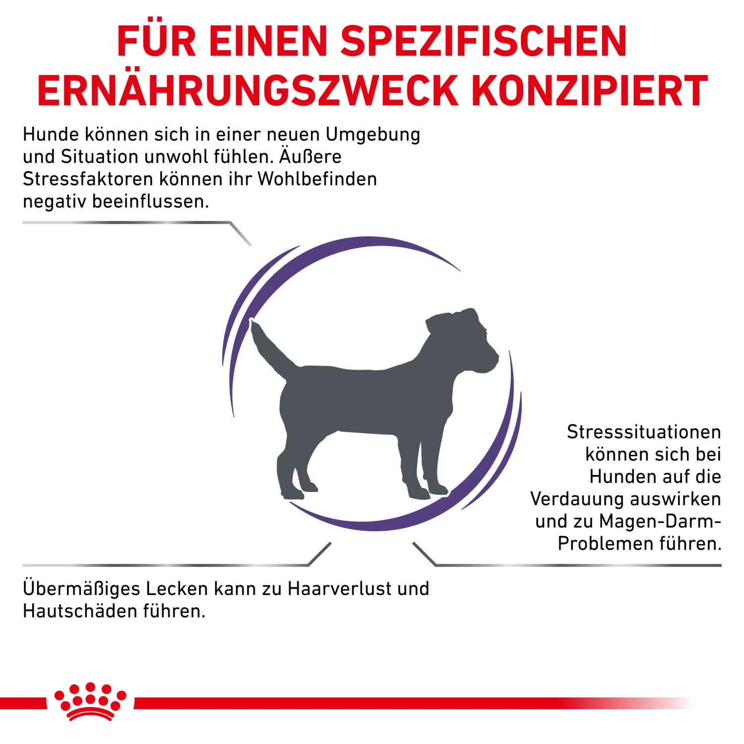 Royal Canin Calm Small Dogs Trockenfutter Hund 2 Royal Canin Calm Small Dogs Trockenfutter Hund – Bild 2