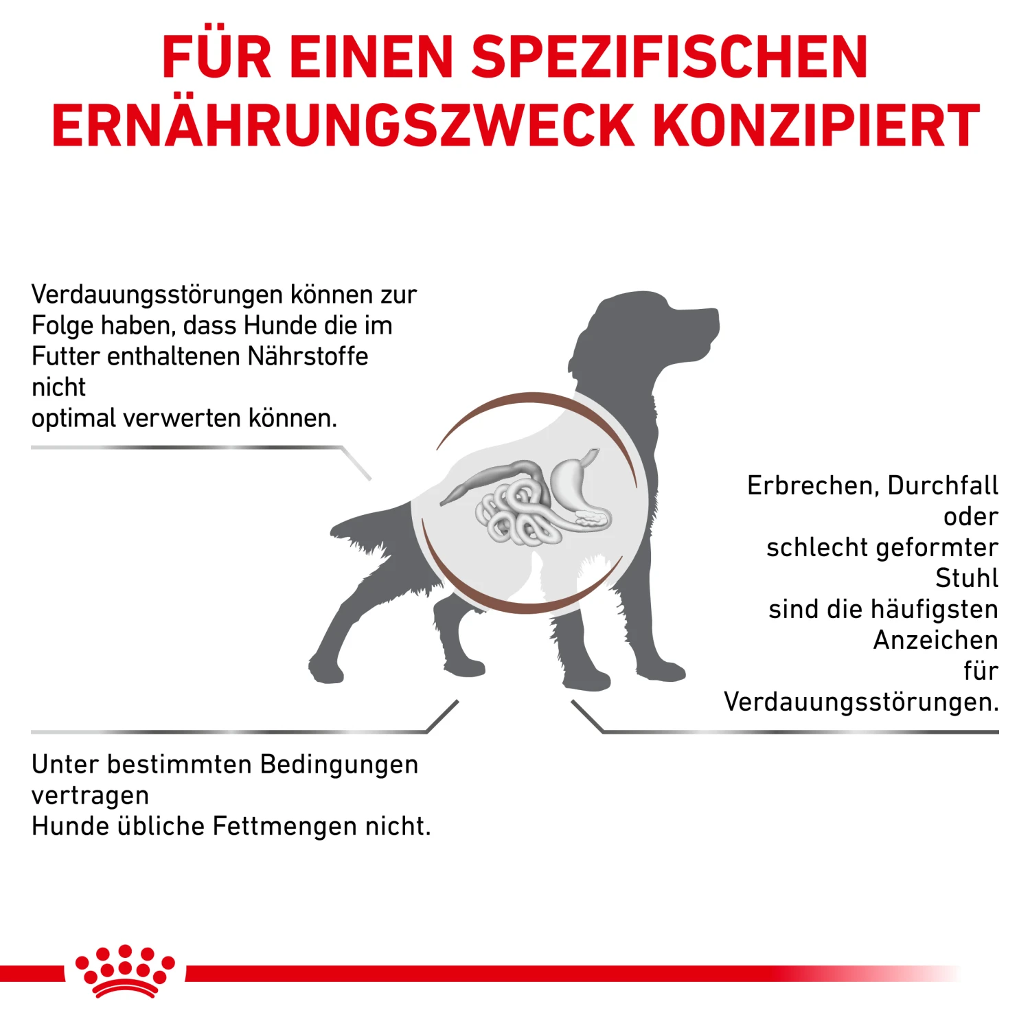 Royal Canin Gastrointestinal Low Fat Trockenfutter Hund 2 Royal Canin Gastrointestinal Low Fat Trockenfutter Hund – Bild 2