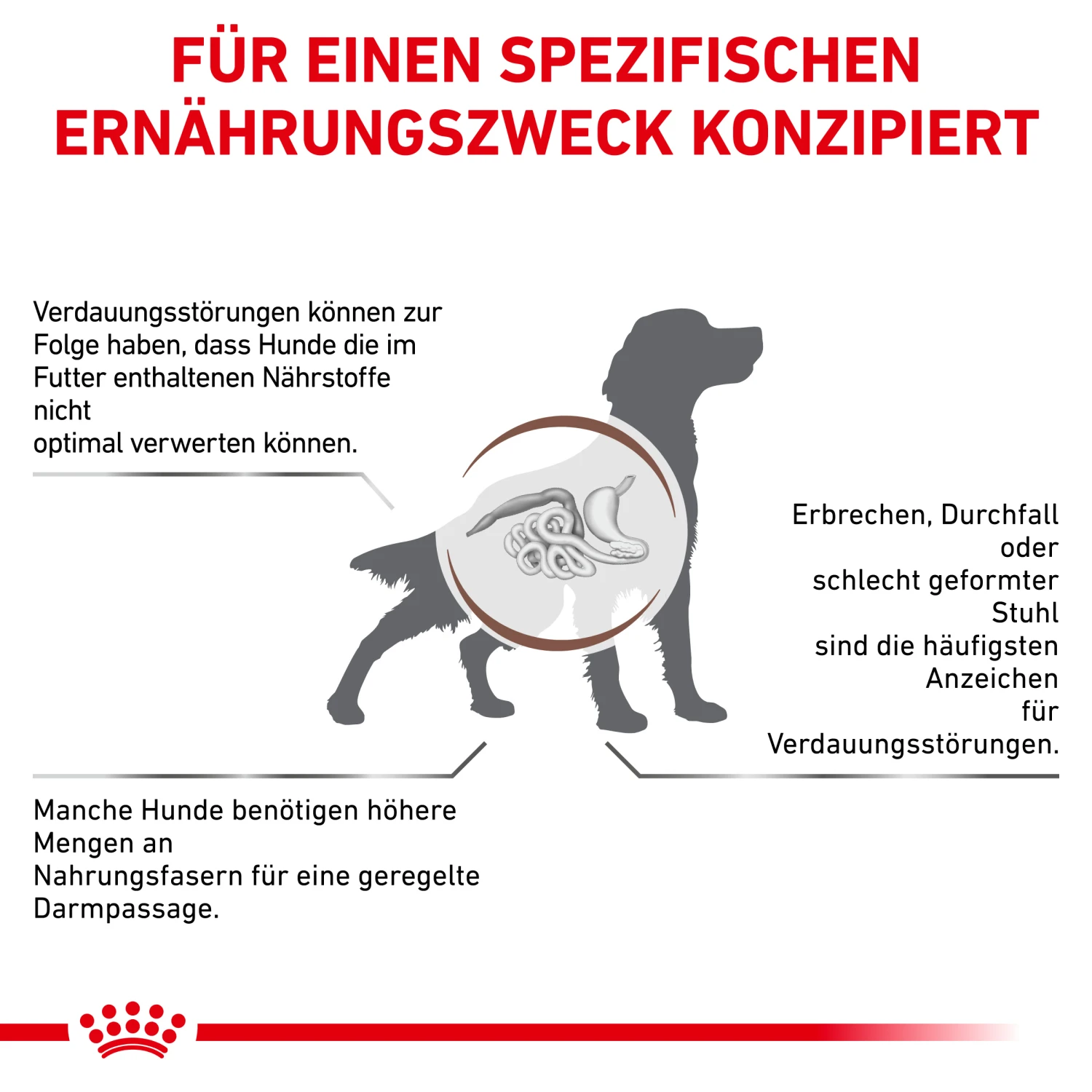 Royal Canin Gastrointestinal High Fibre Trockenfutter Hund 2 Royal Canin Gastrointestinal High Fibre Trockenfutter Hund – Bild 2
