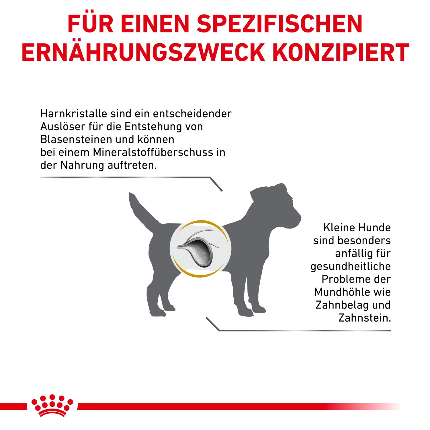 Royal Canin Urinary S/O Small Dogs Trockenfutter Hund 7 Royal Canin Urinary S/O Small Dogs Trockenfutter Hund – Bild 7