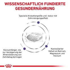 Royal Canin Dental Small Dogs Trockenfutter Hund 9 Royal Canin Dental Small Dogs Trockenfutter Hund -Bell Oliebe Verkäufe 3182550783910 333 4