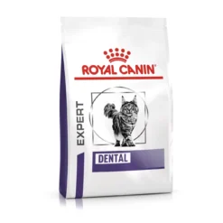 Royal Canin Dental Trockenfutter Katze