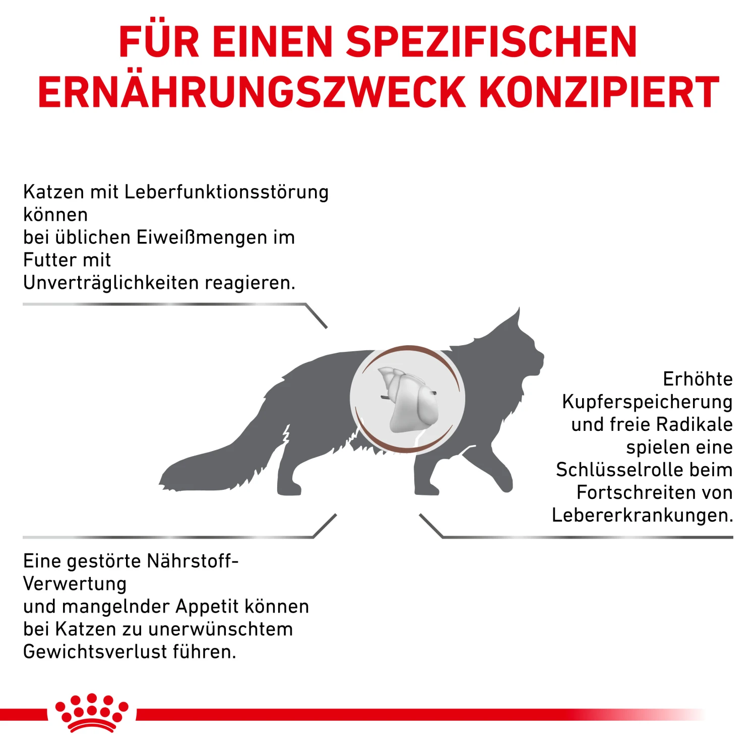 Royal Canin Hepatic Trockenfutter Katze 2 Royal Canin Hepatic Trockenfutter Katze – Bild 2