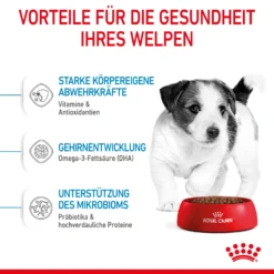 Royal Canin Mini Puppy Trockenfutter Für Welpen Kleiner Hunderassen 8 Royal Canin Mini Puppy Trockenfutter Für Welpen Kleiner Hunderassen -Bell Oliebe Verkäufe 3182550793049 2809 4