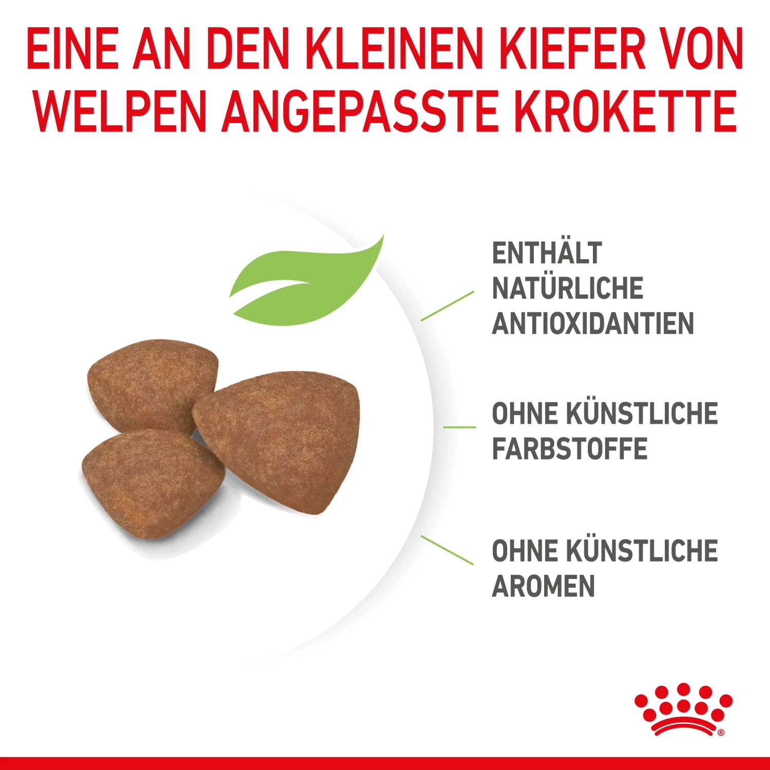 Royal Canin Mini Puppy Trockenfutter Für Welpen Kleiner Hunderassen 4 Royal Canin Mini Puppy Trockenfutter Für Welpen Kleiner Hunderassen – Bild 4