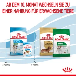 Royal Canin Mini Puppy Trockenfutter Für Welpen Kleiner Hunderassen 10 Royal Canin Mini Puppy Trockenfutter Für Welpen Kleiner Hunderassen -Bell Oliebe Verkäufe 3182550793049 2809 6