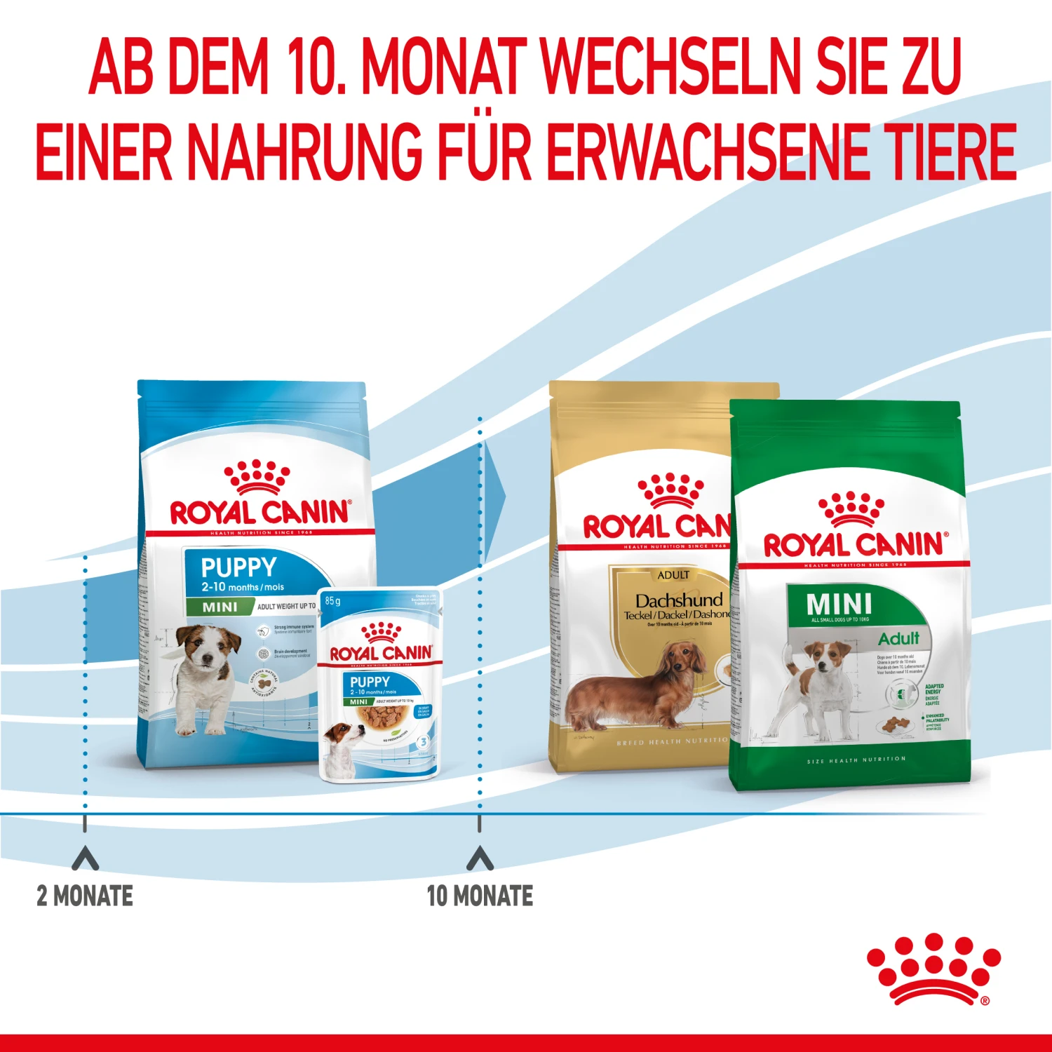 Royal Canin Mini Puppy Trockenfutter Für Welpen Kleiner Hunderassen 5 Royal Canin Mini Puppy Trockenfutter Für Welpen Kleiner Hunderassen – Bild 5