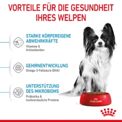Royal Canin X-Small Puppy Trockenfutter Für Welpen Sehr Kleiner Hunderassen 8 Royal Canin X-Small Puppy Trockenfutter Für Welpen Sehr Kleiner Hunderassen -Bell Oliebe Verkäufe 3182550793636 10003 4