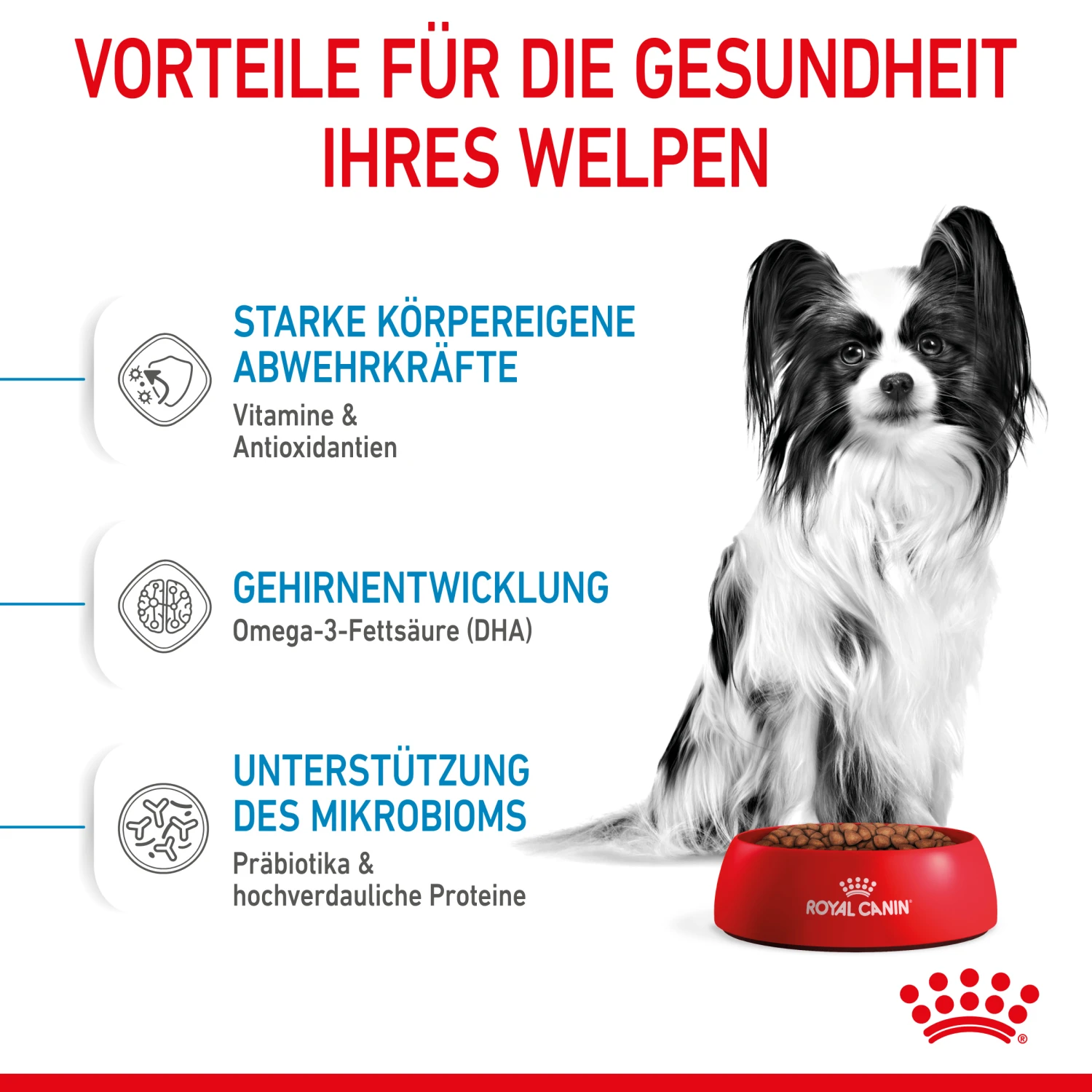 Royal Canin X-Small Puppy Trockenfutter Für Welpen Sehr Kleiner Hunderassen 3 Royal Canin X-Small Puppy Trockenfutter Für Welpen Sehr Kleiner Hunderassen – Bild 3