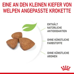 Royal Canin X-Small Puppy Trockenfutter Für Welpen Sehr Kleiner Hunderassen 9 Royal Canin X-Small Puppy Trockenfutter Für Welpen Sehr Kleiner Hunderassen -Bell Oliebe Verkäufe 3182550793636 10003 5