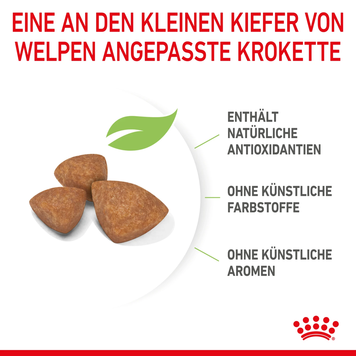 Royal Canin X-Small Puppy Trockenfutter Für Welpen Sehr Kleiner Hunderassen 4 Royal Canin X-Small Puppy Trockenfutter Für Welpen Sehr Kleiner Hunderassen – Bild 4