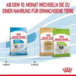 Royal Canin X-Small Puppy Trockenfutter Für Welpen Sehr Kleiner Hunderassen 10 Royal Canin X-Small Puppy Trockenfutter Für Welpen Sehr Kleiner Hunderassen -Bell Oliebe Verkäufe 3182550793636 10003 6