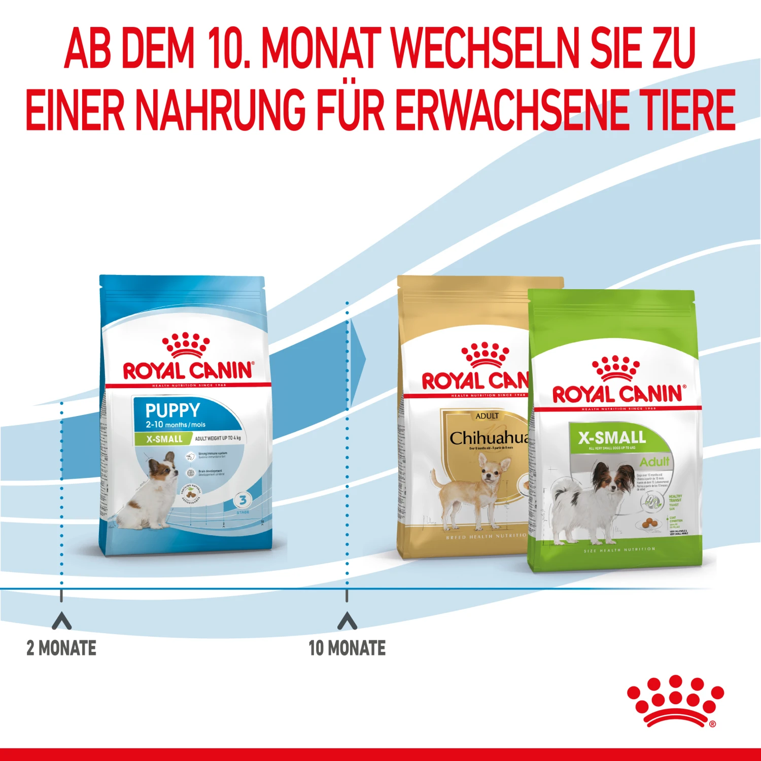 Royal Canin X-Small Puppy Trockenfutter Für Welpen Sehr Kleiner Hunderassen 5 Royal Canin X-Small Puppy Trockenfutter Für Welpen Sehr Kleiner Hunderassen – Bild 5