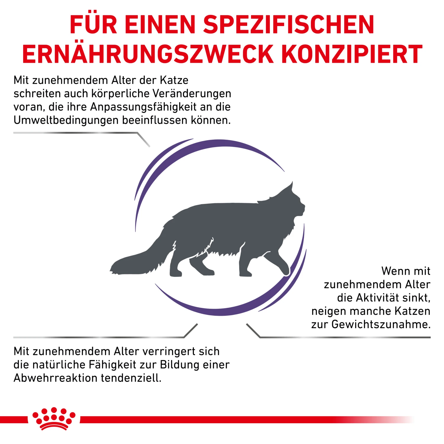 Royal Canin Mature Consult Balance Trockenfutter Katze 2 Royal Canin Mature Consult Balance Trockenfutter Katze – Bild 2
