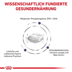 Royal Canin Mature Consult Balance Trockenfutter Katze 9 Royal Canin Mature Consult Balance Trockenfutter Katze -Bell Oliebe Verkäufe 3182550799492 6259 4