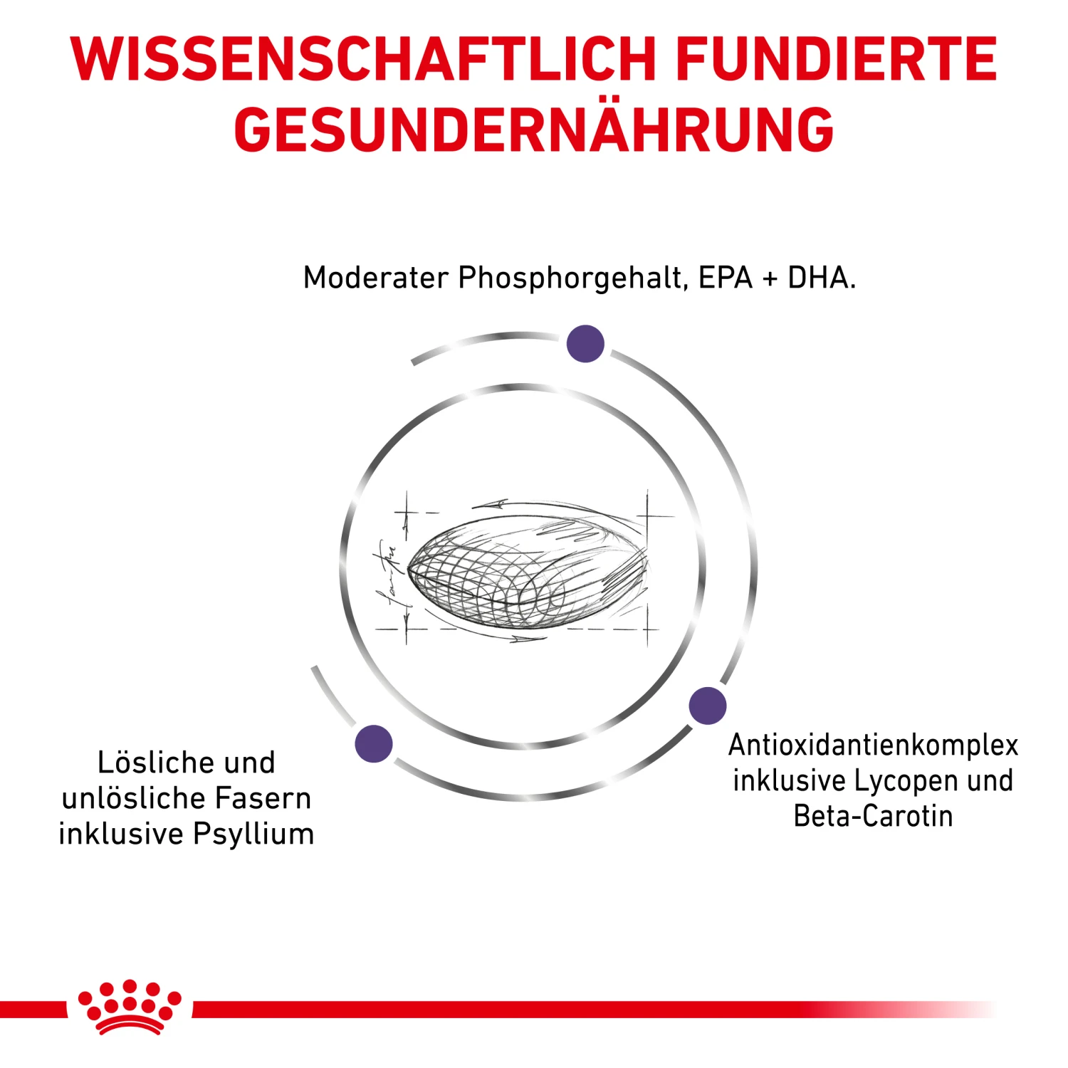 Royal Canin Mature Consult Balance Trockenfutter Katze 3 Royal Canin Mature Consult Balance Trockenfutter Katze – Bild 3