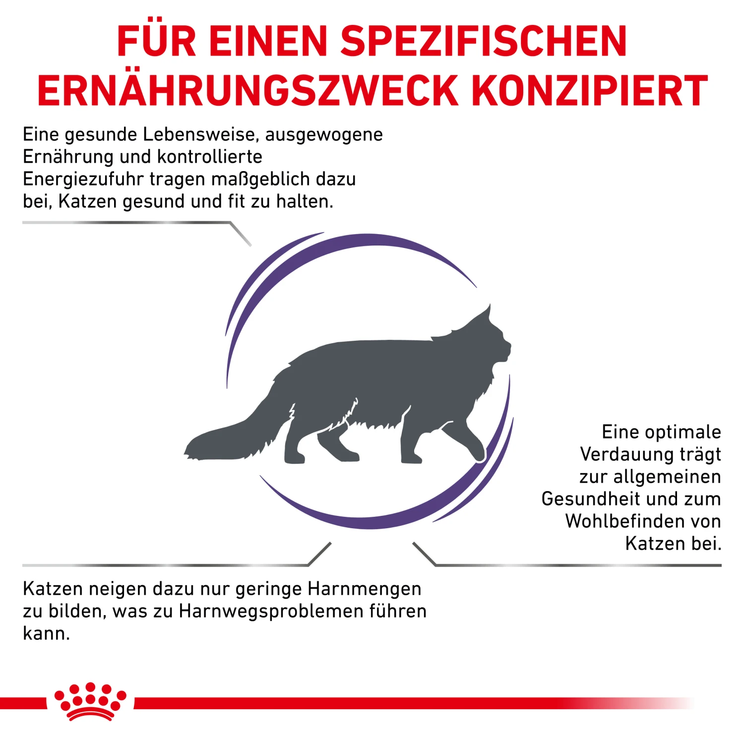 Royal Canin Adult Trockenfutter Katze 2 Royal Canin Adult Trockenfutter Katze – Bild 2