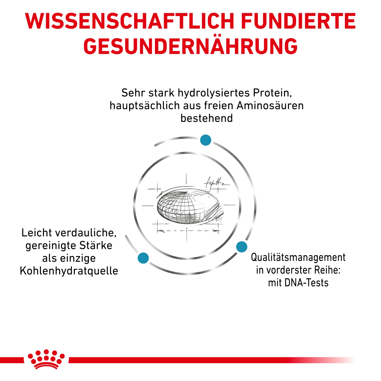 Royal Canin Anallergenic Trockenfutter Hund 2 Royal Canin Anallergenic Trockenfutter Hund – Bild 2