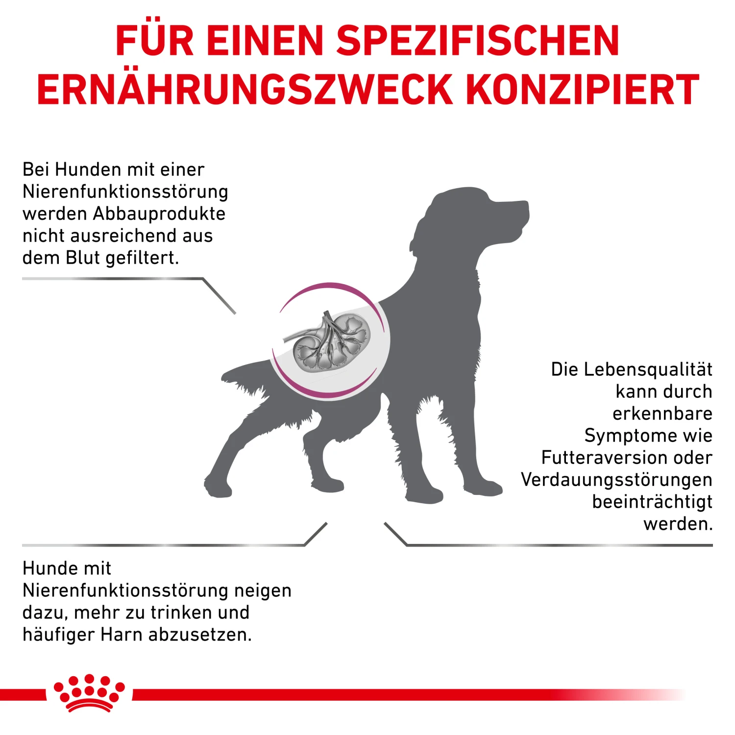 Royal Canin Renal Trockenfutter Hund 2 Royal Canin Renal Trockenfutter Hund – Bild 2