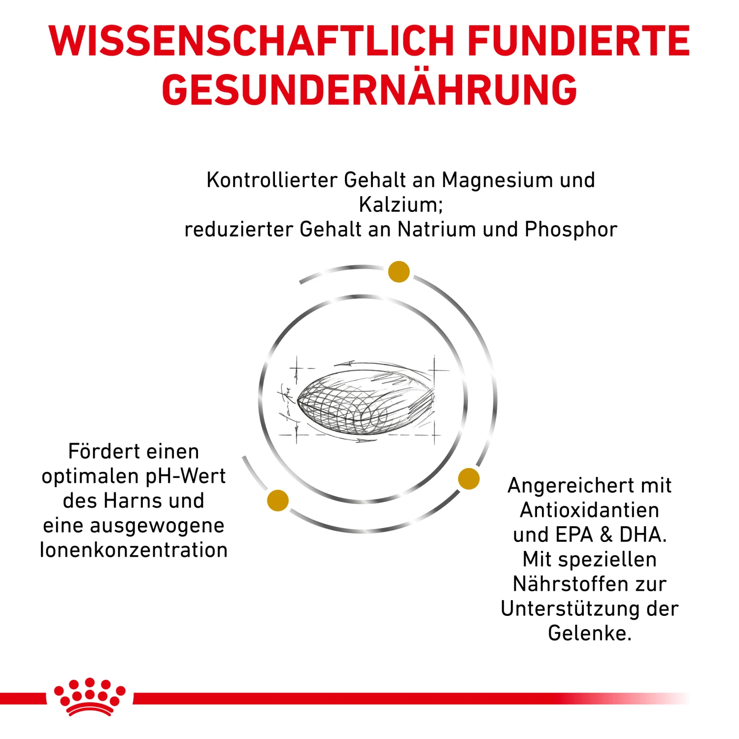 Royal Canin Urinary S/O Ageing 7+ Trockenfutter Hund 2 Royal Canin Urinary S/O Ageing 7+ Trockenfutter Hund – Bild 2