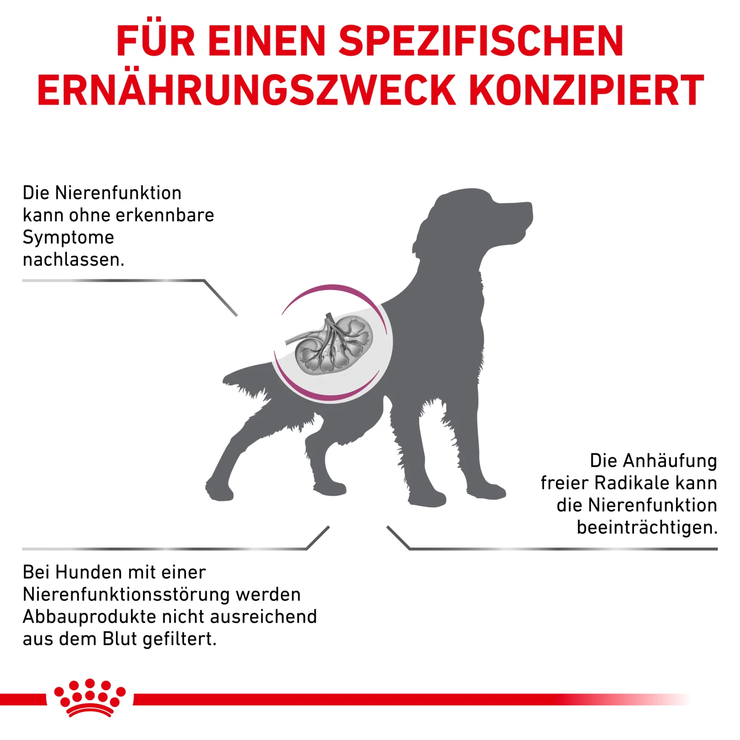 Royal Canin Early Renal Trockenfutter Hund 2 Royal Canin Early Renal Trockenfutter Hund – Bild 2