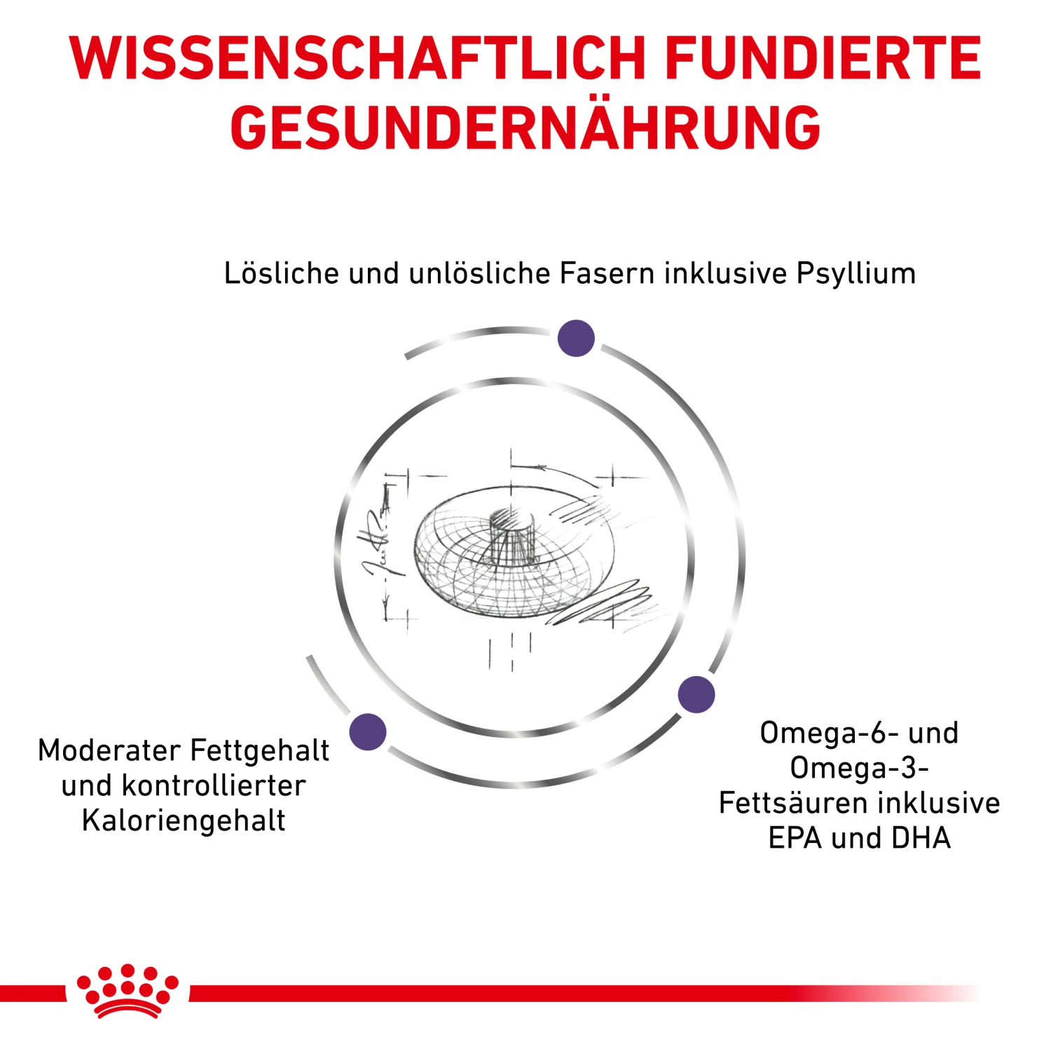 Royal Canin Neutered Adult Medium Dogs Trockenfutter Hund 3 Royal Canin Neutered Adult Medium Dogs Trockenfutter Hund – Bild 3