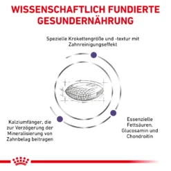 Royal Canin Dental Medium & Large Dogs Trockenfutter Hund -Bell Oliebe Verkäufe 3182550925310 328 4