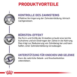 Royal Canin Dental Medium & Large Dogs Trockenfutter Hund -Bell Oliebe Verkäufe 3182550925310 328 5