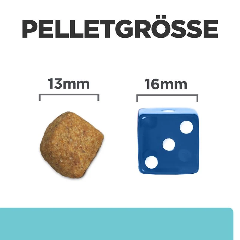 Hill's Feline T/d 2 Hill's Feline T/d – Bild 2