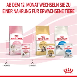 Royal Canin Kitten Nassfutter In Mousse 12 X 85 G 13 Royal Canin Kitten Nassfutter In Mousse 12 X 85 G -Bell Oliebe Verkäufe 9003579003831 4505 8