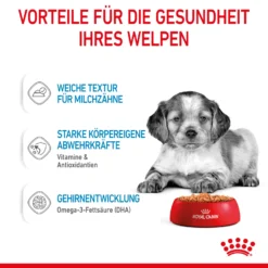 Royal Canin Medium Puppy Welpenfutter Nassfutter 10 X 140 G -Bell Oliebe Verkäufe 9003579008324 4711 4