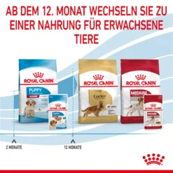 Royal Canin Medium Puppy Welpenfutter Nassfutter 10 X 140 G -Bell Oliebe Verkäufe 9003579008324 4711 8
