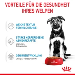 Royal Canin Maxi Puppy Welpenfutter Nass Für Große Hunde -Bell Oliebe Verkäufe 9003579008447 4721 4