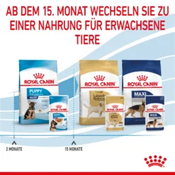 Royal Canin Maxi Puppy Welpenfutter Nass Für Große Hunde -Bell Oliebe Verkäufe 9003579008447 4721 8