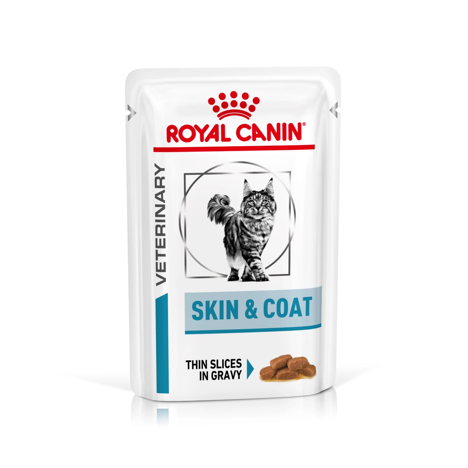 Royal Canin Skin & Coat Nassfutter Katze 12 X 85 G 1 Royal Canin Skin & Coat Nassfutter Katze 12 X 85 G
