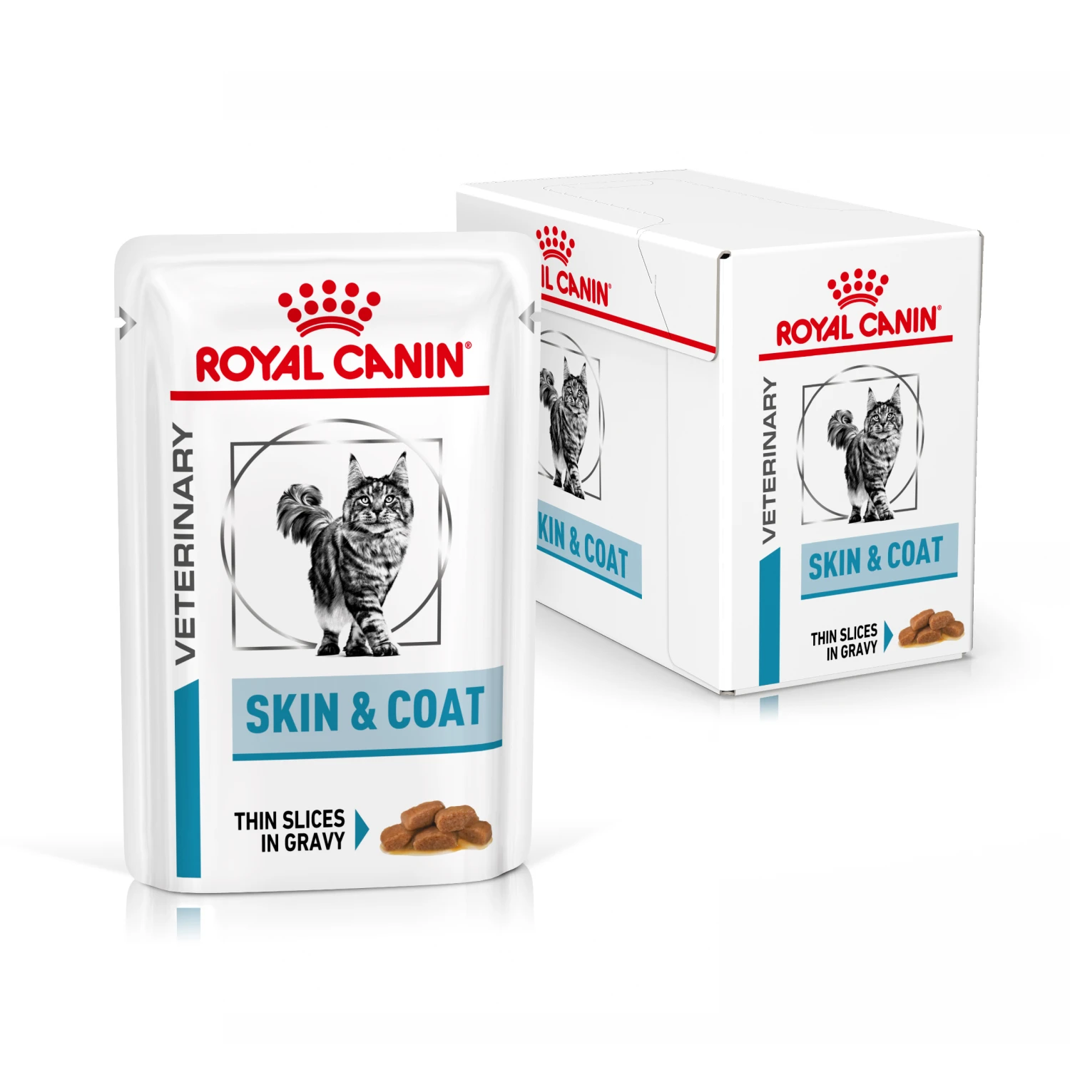 Royal Canin Skin & Coat Nassfutter Katze 12 X 85 G 2 Royal Canin Skin & Coat Nassfutter Katze 12 X 85 G – Bild 2