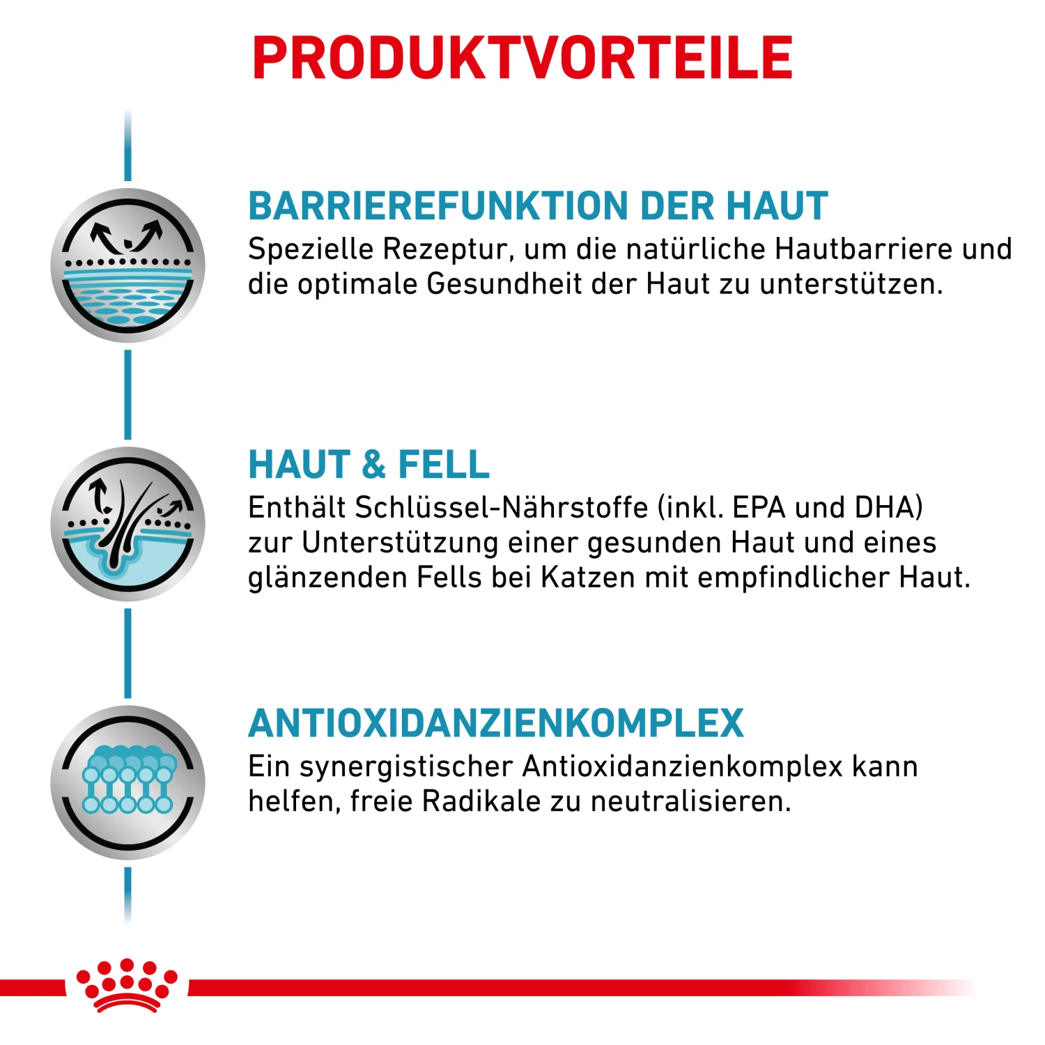 Royal Canin Skin & Coat Nassfutter Katze 12 X 85 G 3 Royal Canin Skin & Coat Nassfutter Katze 12 X 85 G – Bild 3