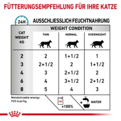 Royal Canin Skin & Coat Nassfutter Katze 12 X 85 G 10 Royal Canin Skin & Coat Nassfutter Katze 12 X 85 G -Bell Oliebe Verkäufe 9003579011522 44 5