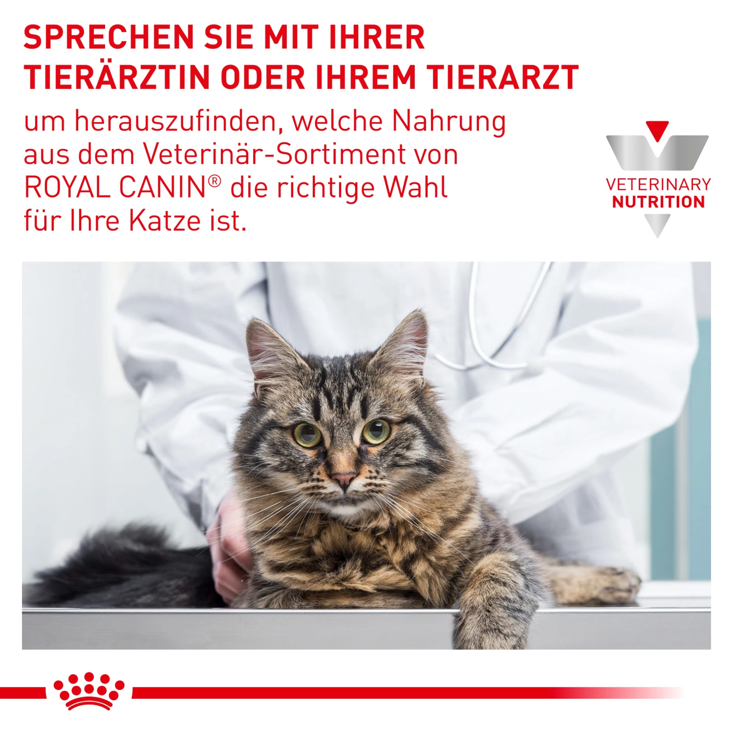 Royal Canin Diabetic Nassfutter Katze 7 Royal Canin Diabetic Nassfutter Katze – Bild 7