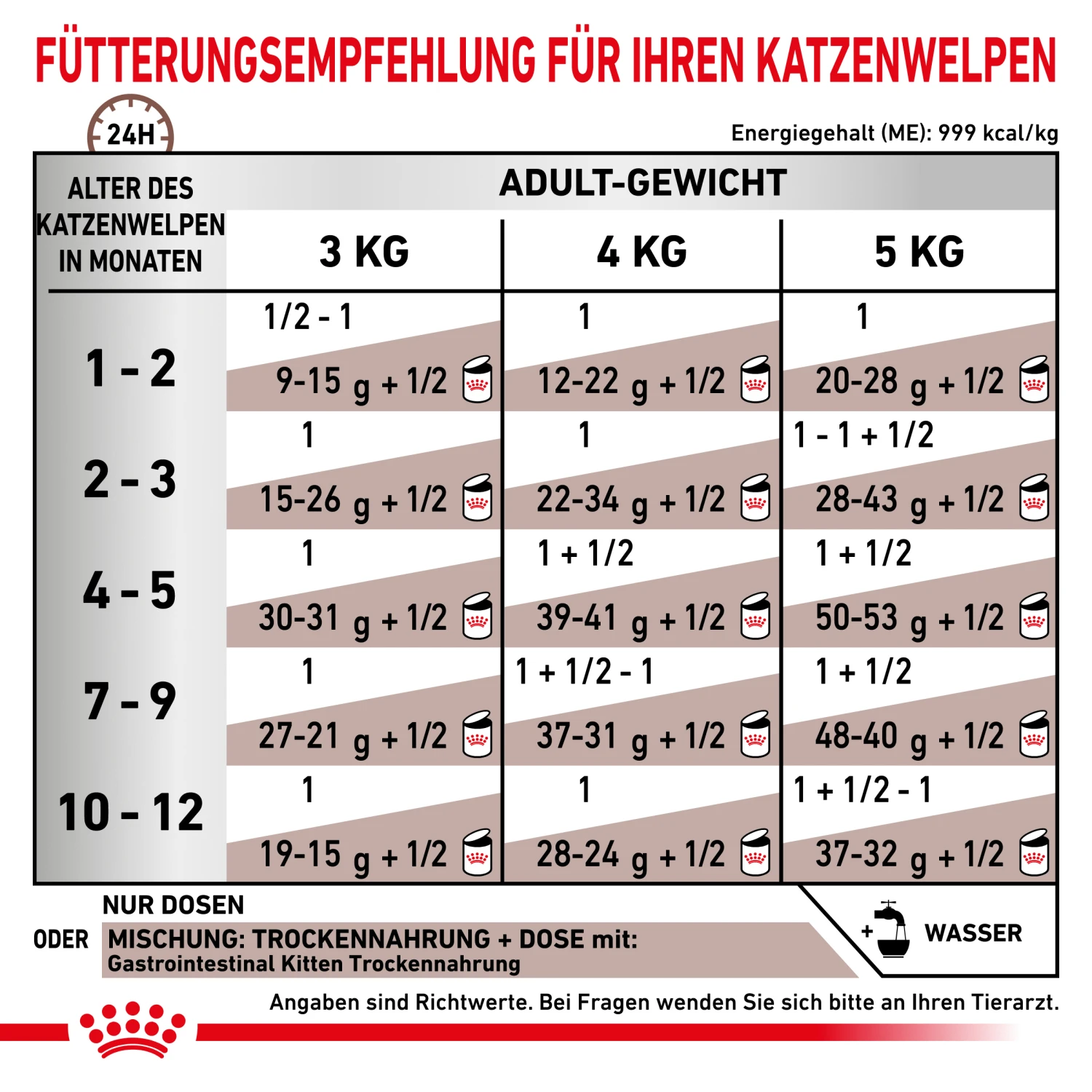 Royal Canin Gastrointestinal Kitten Nassfutter Für Katzenwelpen 3 Royal Canin Gastrointestinal Kitten Nassfutter Für Katzenwelpen – Bild 3