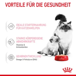 Royal Canin Mother & Babycat Mousse Nassfutter Katze 9 Royal Canin Mother & Babycat Mousse Nassfutter Katze -Bell Oliebe Verkäufe 9003579019993 4551 4