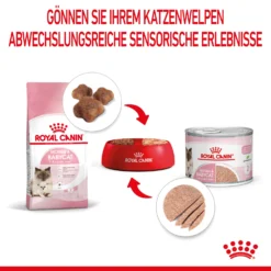 Royal Canin Mother & Babycat Mousse Nassfutter Katze 10 Royal Canin Mother & Babycat Mousse Nassfutter Katze -Bell Oliebe Verkäufe 9003579019993 4551 5