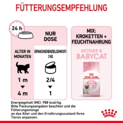 Royal Canin Mother & Babycat Mousse Nassfutter Katze 12 Royal Canin Mother & Babycat Mousse Nassfutter Katze -Bell Oliebe Verkäufe 9003579019993 4551 7